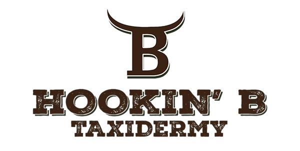 Hookin' B
